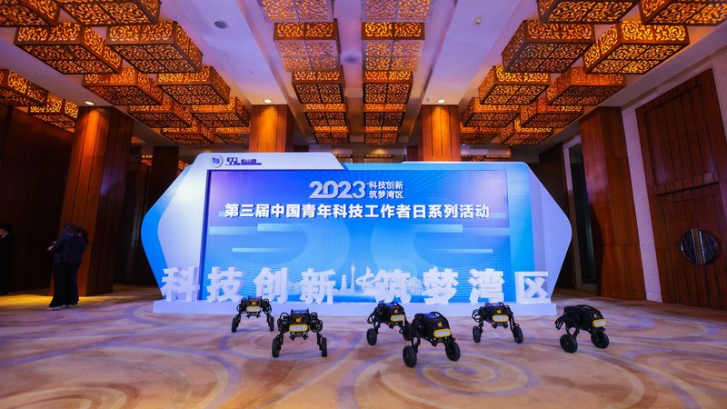 知识图谱关系抽取面试题：揭秘面试中的关键技术点